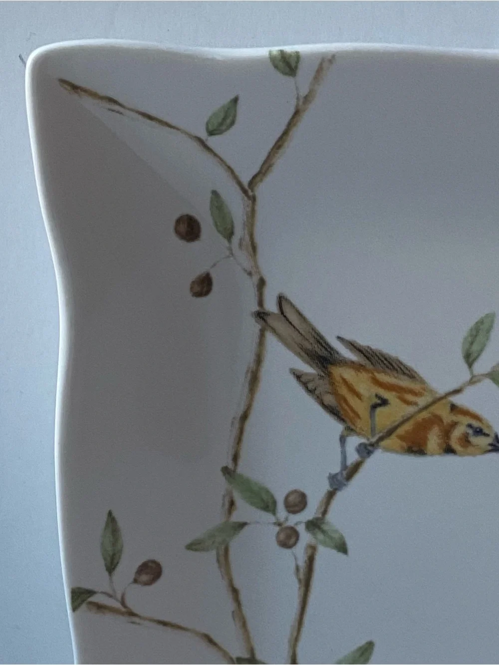 Bird Trinket Dish 222 Fifth EARLY BIRD Appetizer Plate yellow Songbird 5.25